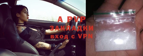 винт Вяземский