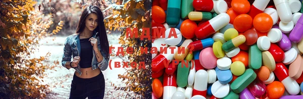 прущие грибы Вязники