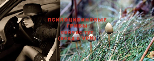 каннабис Верея