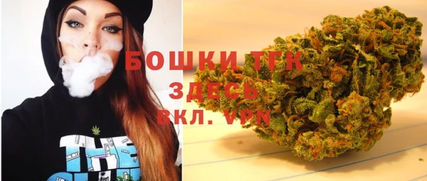 прущие грибы Вязники