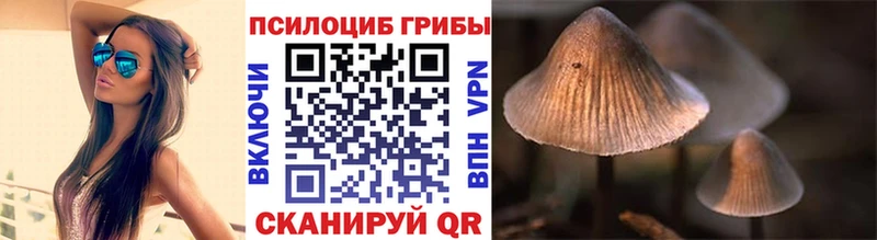 Псилоцибиновые грибы мицелий  Инта 